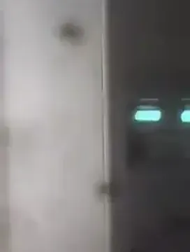 Tourist Dominica porn