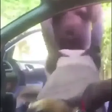 Bbc Doggy For Dumb Bunny Slut