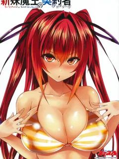 shinmai maou no testament : naruse mio in bikini