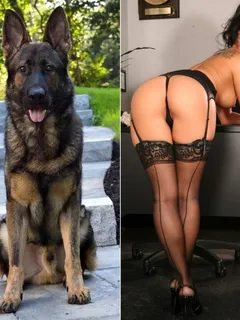 k9 and hot asian woman