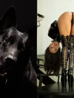 dog and hot asian woman