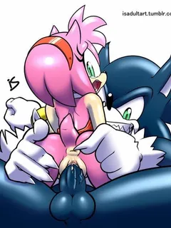 werehog sonic and amy rose!