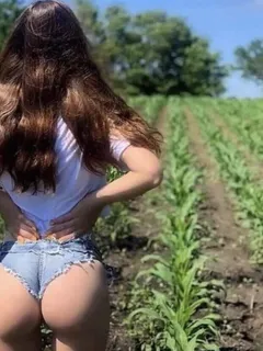 farmer john asked me to keep an eye on things while he's out of town; looks like his daughter needs to be plowed ... again.