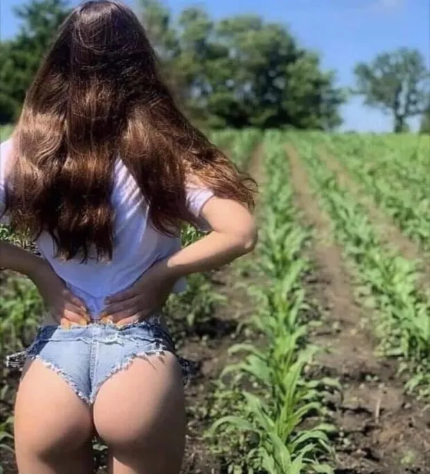 farmer john asked me to keep an eye on things while he's out of town; looks like his daughter needs to be plowed ... again.