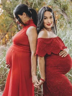 pregnant twins nikki & brie bella