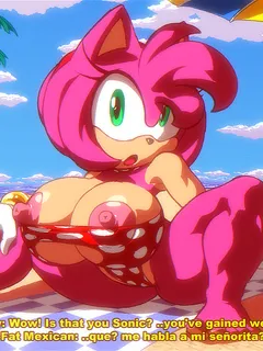 copyright sonic (series) character amy rose artist angelauxes