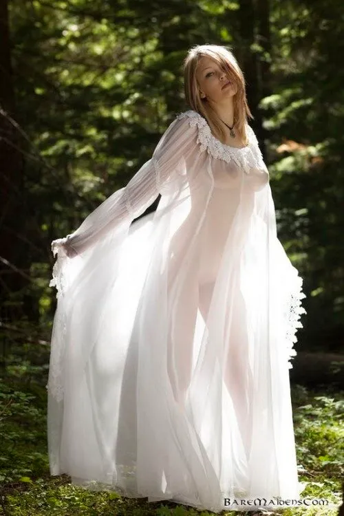 nice see through dress.