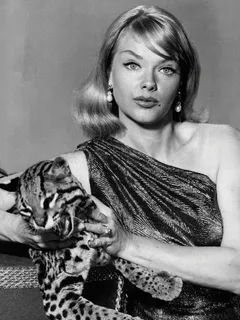 anne francis,  as 'honey west'....p.i.