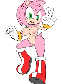 1124069   amy rose habbodude sonic team ravnic