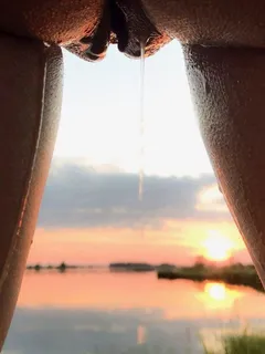 pussy dripping in sunset