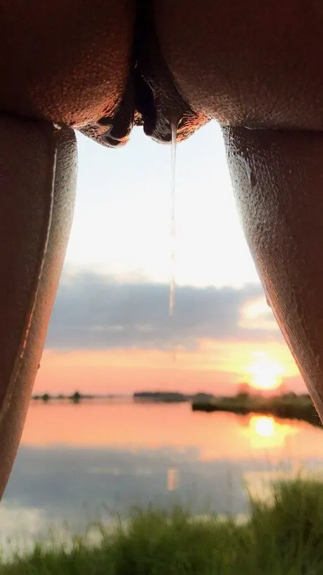 pussy dripping in sunset