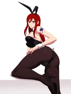 bunnygirl erza