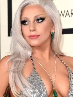 lady gaga at the 2015 grammy awards