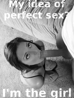 my idea of perfect sex