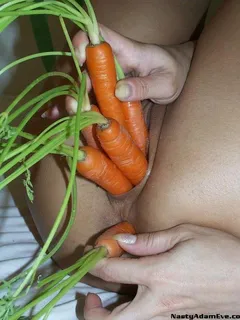 crazy carrot fun