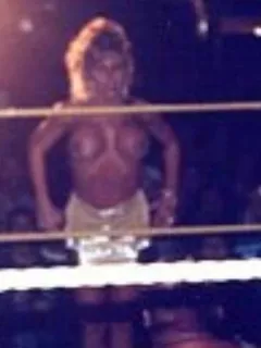 wwe divas nude - terri runnels nude