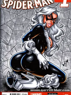 black cat aka felicia hardy