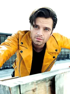 sebastian stan