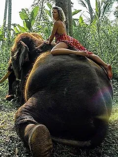 shantel vansanten - elephant riding us actress!