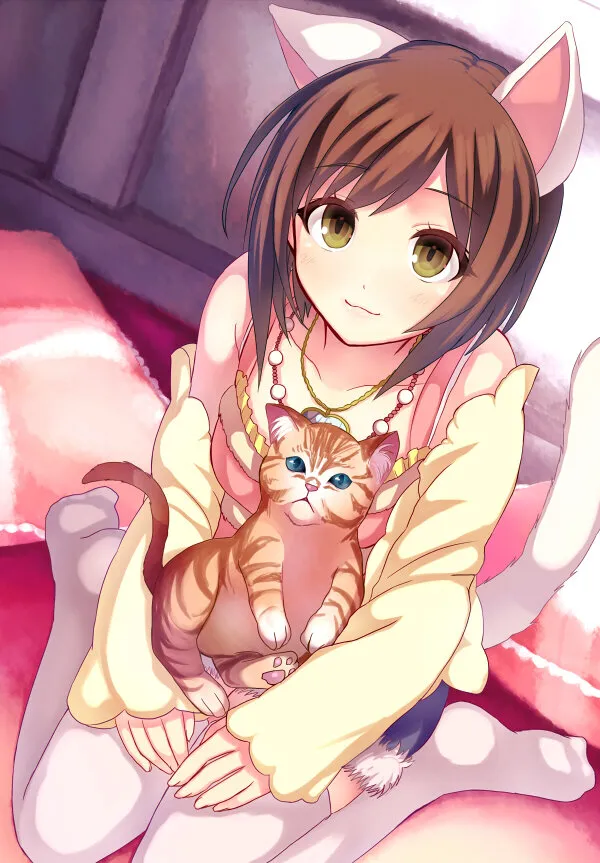 neko and cat