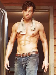 sebastian stan